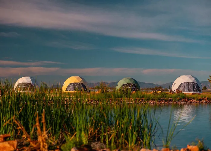 The Beer Dome * Willcox
