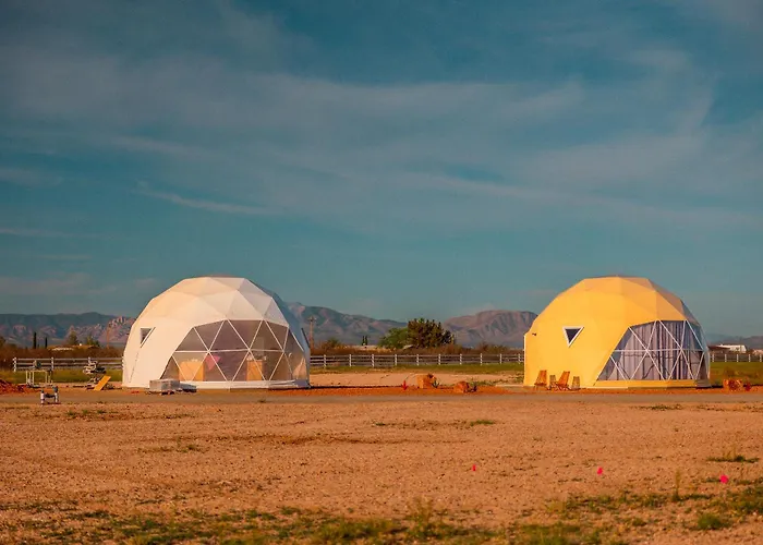 The Beer Dome * Willcox